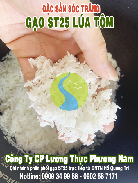 Cửa hàng gạo sạch ST25 - Gạo ông Cua chính hãng - Phương Nam