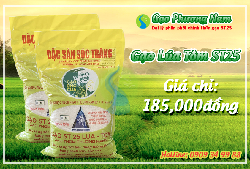 Gạo ST25 lúa tôm chính hãng (Túi 5kg) giá chỉ 37,000 đồng/kg