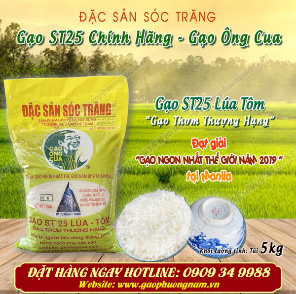 Gạo ST25 (túi 5kg): LOẠI LÚA TÔM trồng tại khu vực nuôi tôm nước lợ