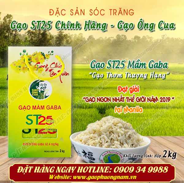 Gạo ST25 mầm Gaba (hộp 2kg): hạt gạo nảy mầm rất thích hợp cho người mắc bệnh tiểu đường