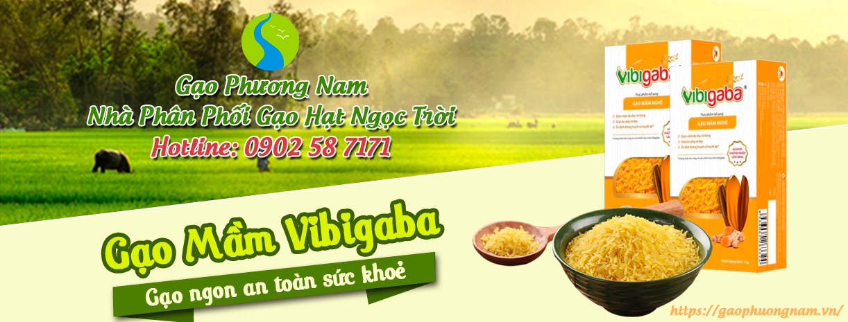 Gạo mầm vibigaba