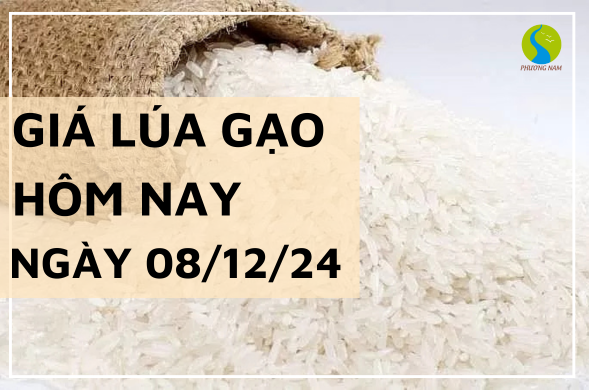 Giá lúa gạo hôm nay ngày 08/12/2024