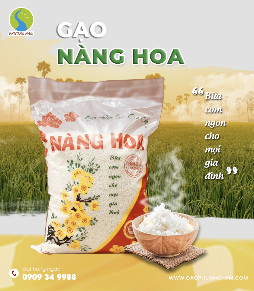 GẠO NÀNG HOA 9 GIỐNG LÚA LAI MỚI HẠT NO TRÒN