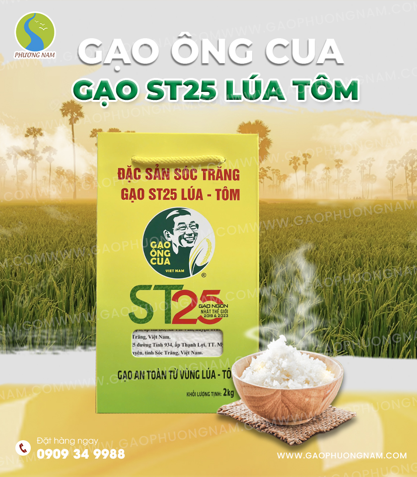 Gạo Lúa Tôm ST25 - Được Trồng Luân Canh Lúa Tôm 1 Năm 1 Vụ