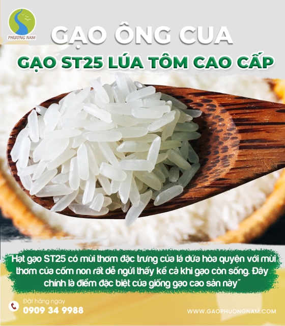 gao-st25-lua-tom-chinh-hang3-